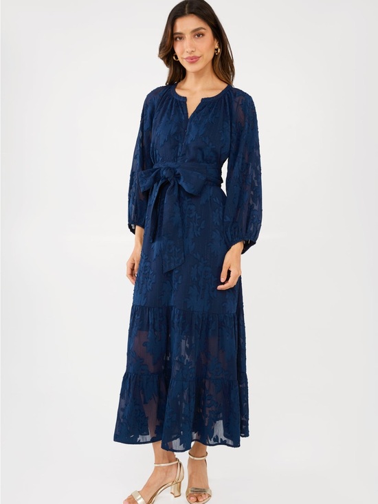 Abbey Glass Dresses & Skirts - Elise Dress Navy Burnout Chiffon
